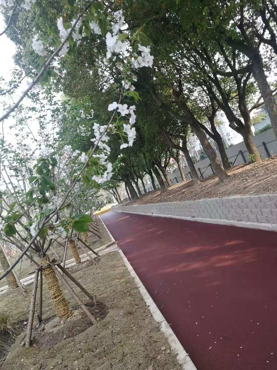 小区绿化建设设计效果